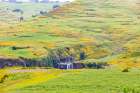 Ethiopia. Amhara. North Gondar. Small waterfall and wildflowers in the hills of Ethiopia. Art Print